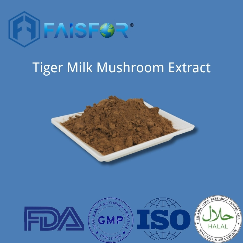 Tiger Milk Pilzextrakt Gemahlenes Pulver Tigermilk Pilzpulver