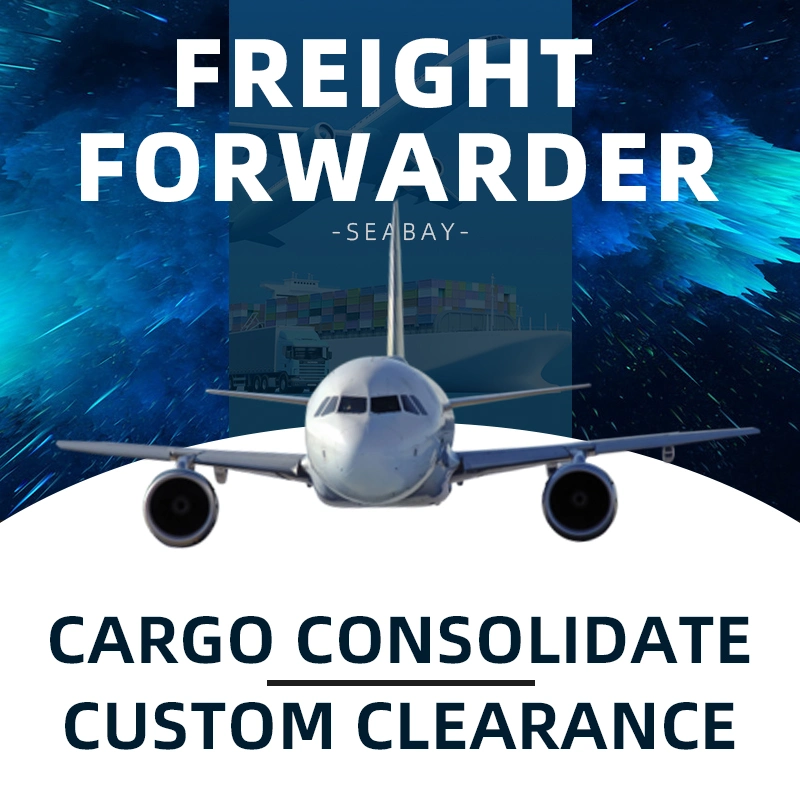 Shanghai Cheap Air Rate Shipping to Russia or Russia Shipping Transportation Company