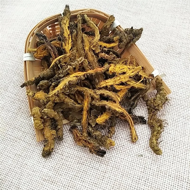 Huang Lian Bulk Nature Herb Medicine Coptis Chinensis Root Goldthread Herbs