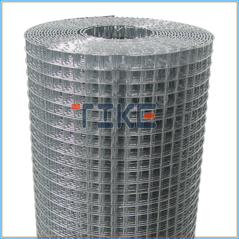 Direct Factory PVC Coated Hot Dipped Electro Galvanized Welded Wire Mesh Factory Price