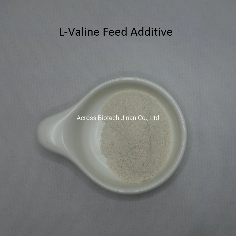 L-Leucine L-Valine L-Isoleucine with Attractive Price