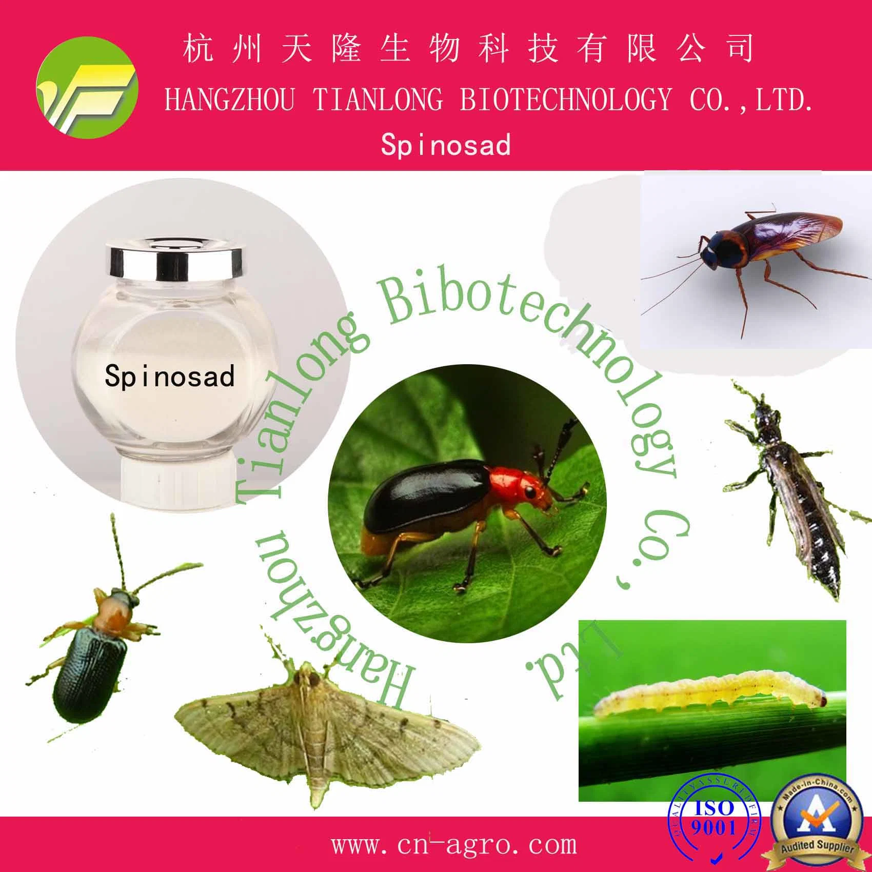 Insecticide Spinosad 25SC, 50SC, 100SC, 480SC