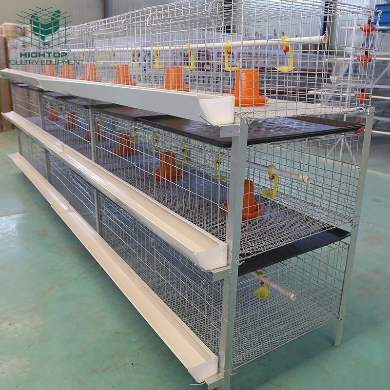 China Hightop Manufactory Poultry Equipment Semi Automatic Three Tiers Galvanized Wire H Type Broiler Cages