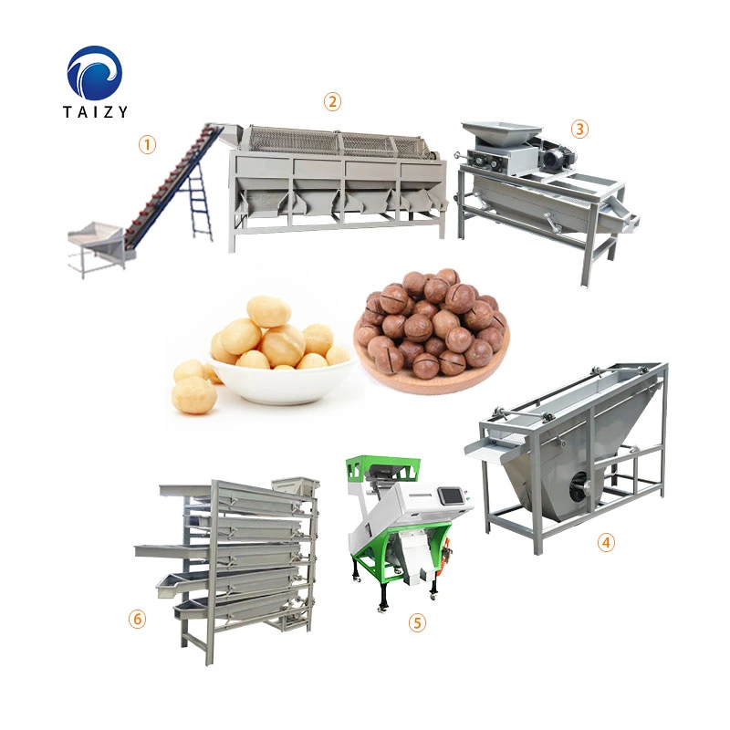 Walnut Crushing Machine Almonds Shelling Machine Cashew Macadamia Nut Processing Machine