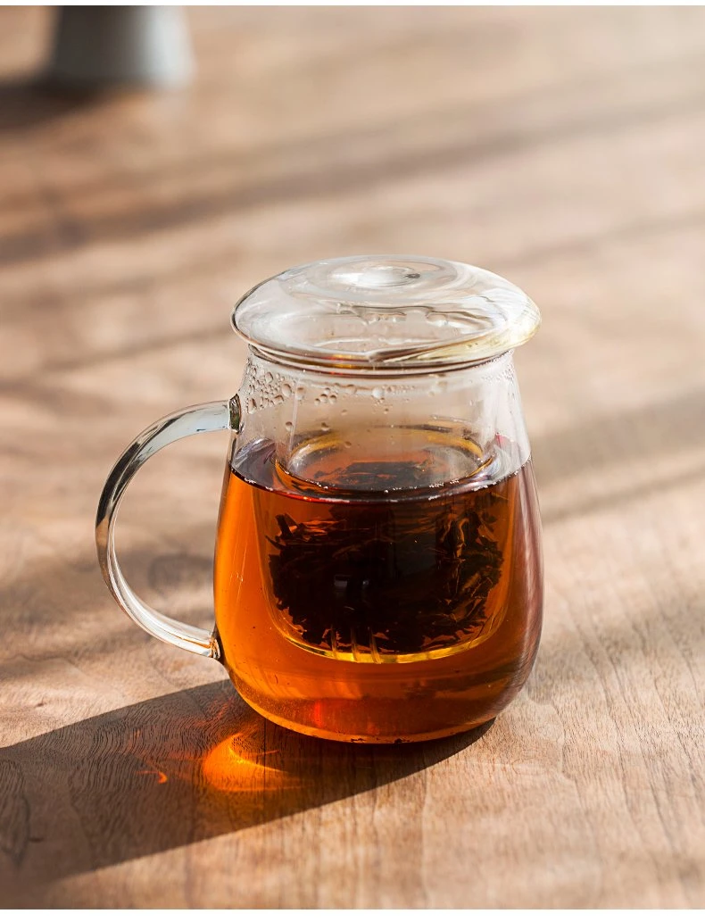 Handmade Accueil de la verrerie en verre borosilicaté résistant à la chaleur des tasses à thé tasses avec couvercle et filtre de verre 380 ml 450 ml