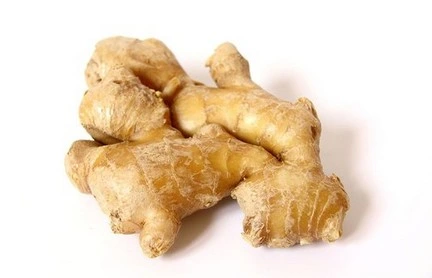 New Product Herbal Powder EU Organic Ginger Root Extract Powder