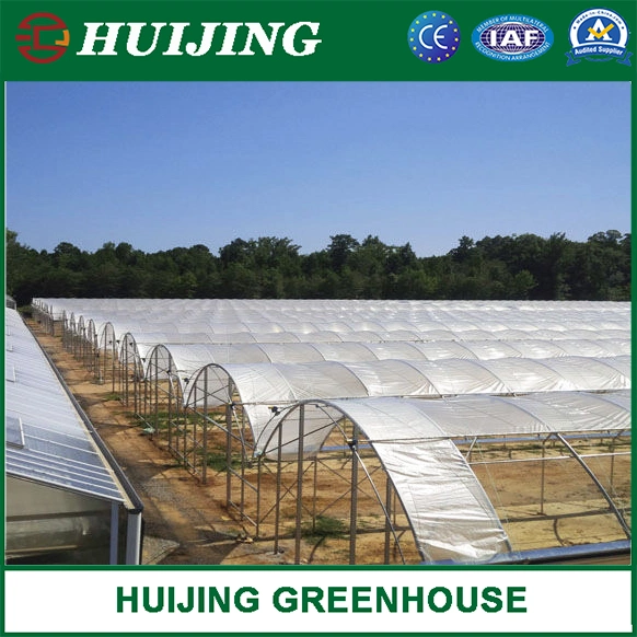 High quality/High cost performance Multi Span Film Po/PE Plastic Agriculture Green House Solution