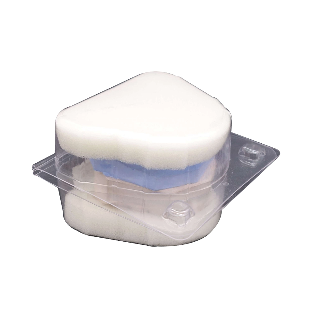 Boîte de prothèse dentaire de cas de retenue de dent de boîte de laboratoire
