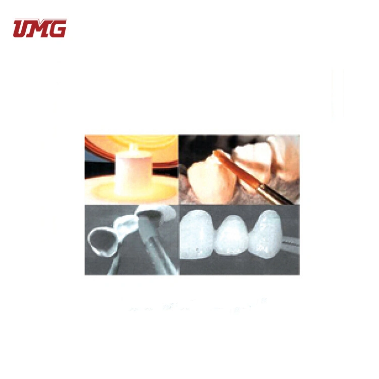 Dental Model Used Medical Teaching Teeth Model