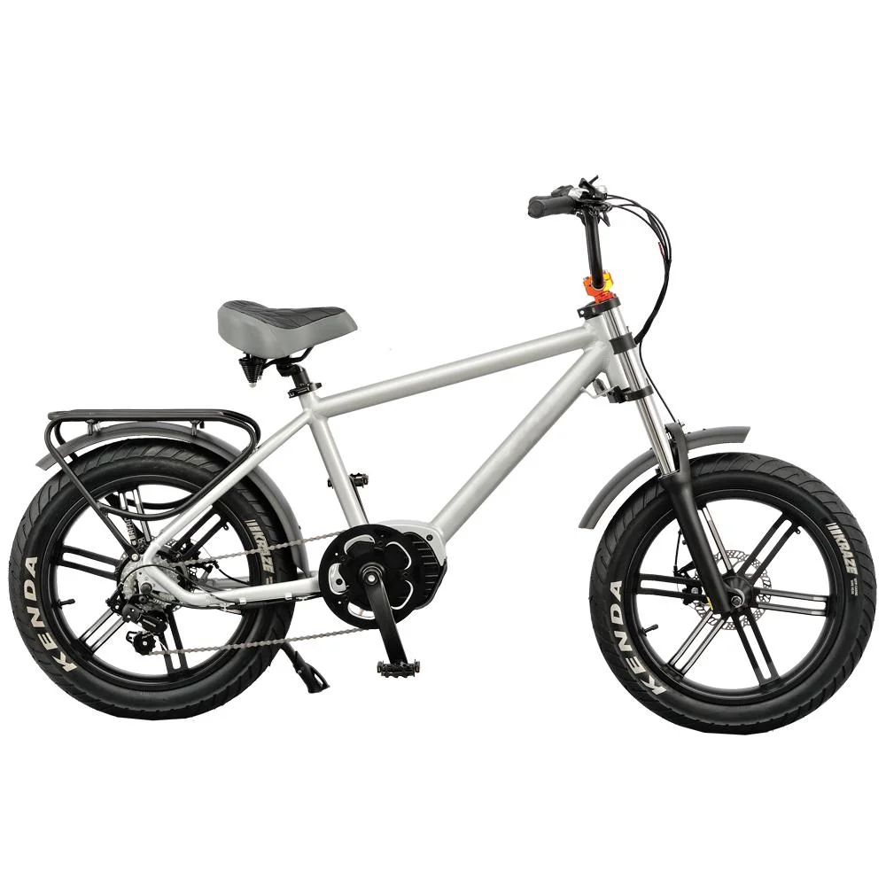E-Bike экономичные 20" шины, задний привод 750W, движении Бесщеточный двигатель типа жира электрический велосипед
