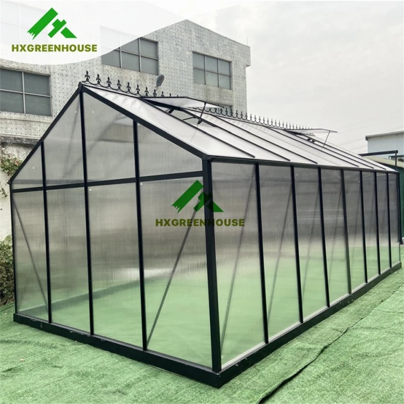 Vente chaude Serres en polycarbonate de 10 mm Maison en aluminium Huixin Autre serre de jardin vert