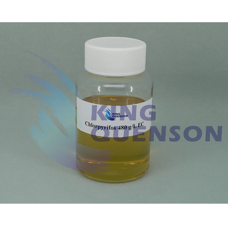 King Quenson High Effective Pesticide Insecticide 97% Tc Chlorpyrifos 25% Wp