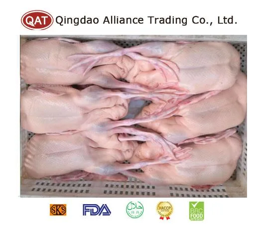 Halal Frozen Whole Duck Meat Peking Duck Export Supplier