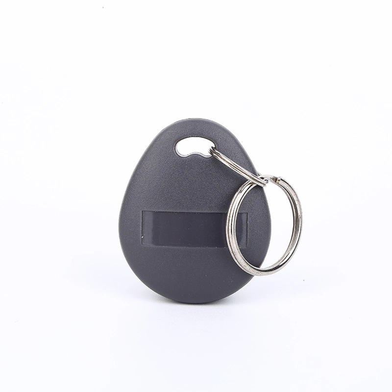 Low Frequency Keyfob / Lf RFID Tags / ABS Keychain for Access Control