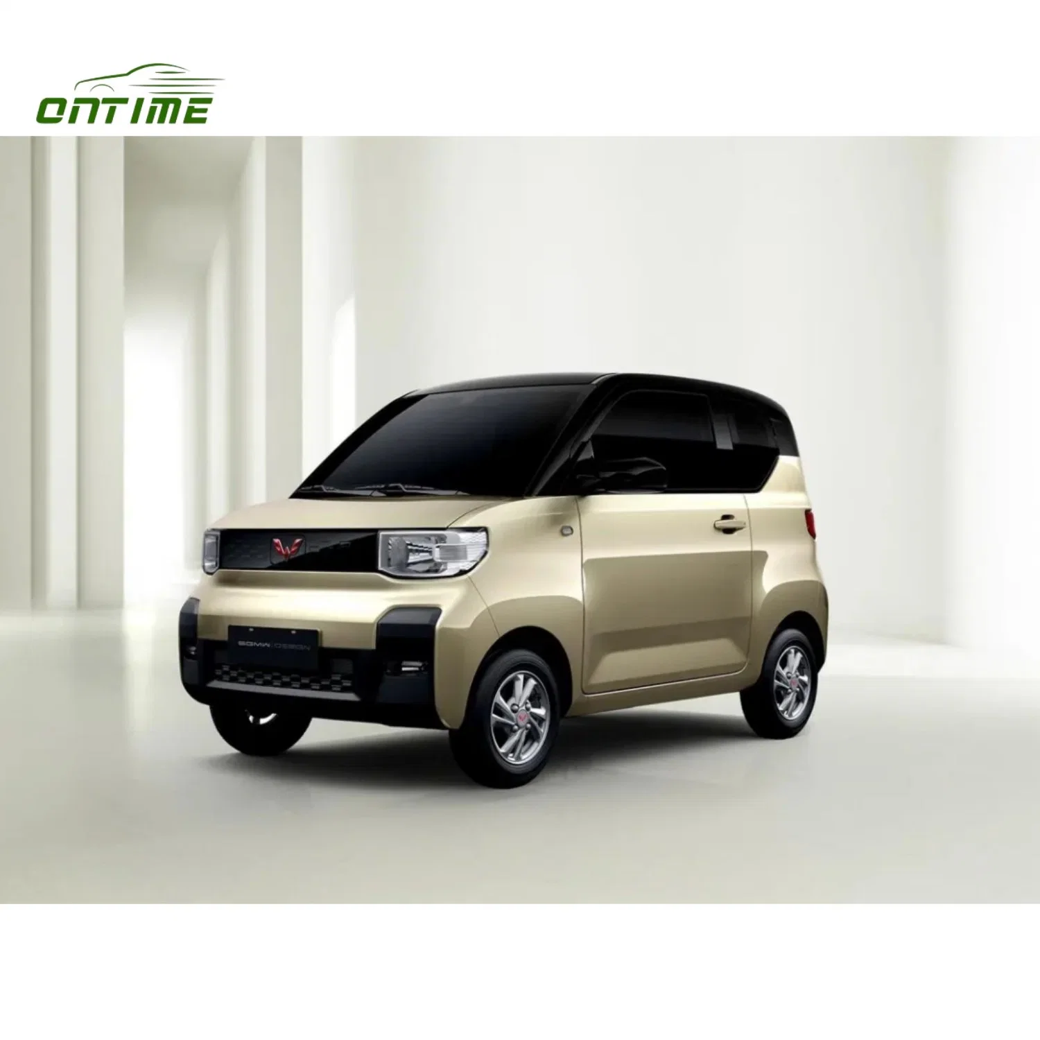 Ontime Miniev China Mini Electric Vehicle Low Priced Pure Electric Small Car