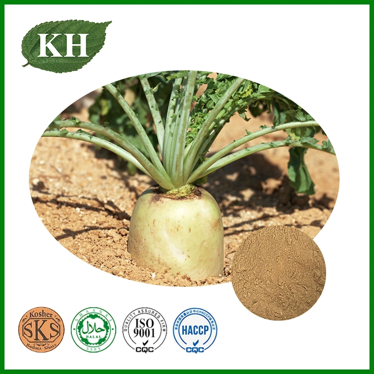 Radish Seed Extract; Raphanus Sativus L; CAS No.: 592-95-0;