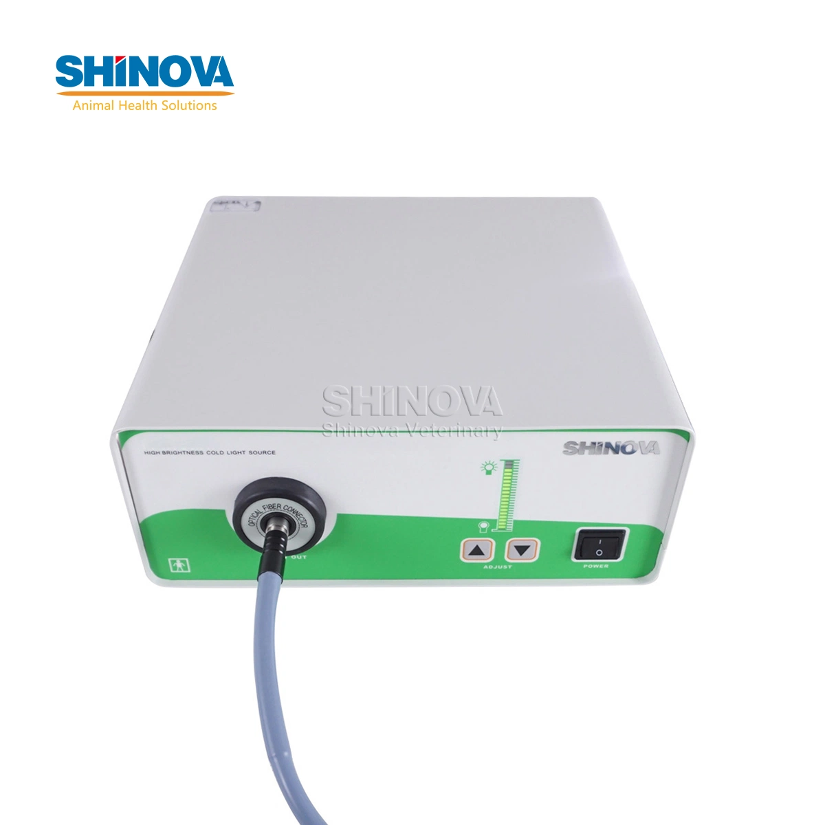 Wholesale/Supplier Super Veterinary Xenon Light Source