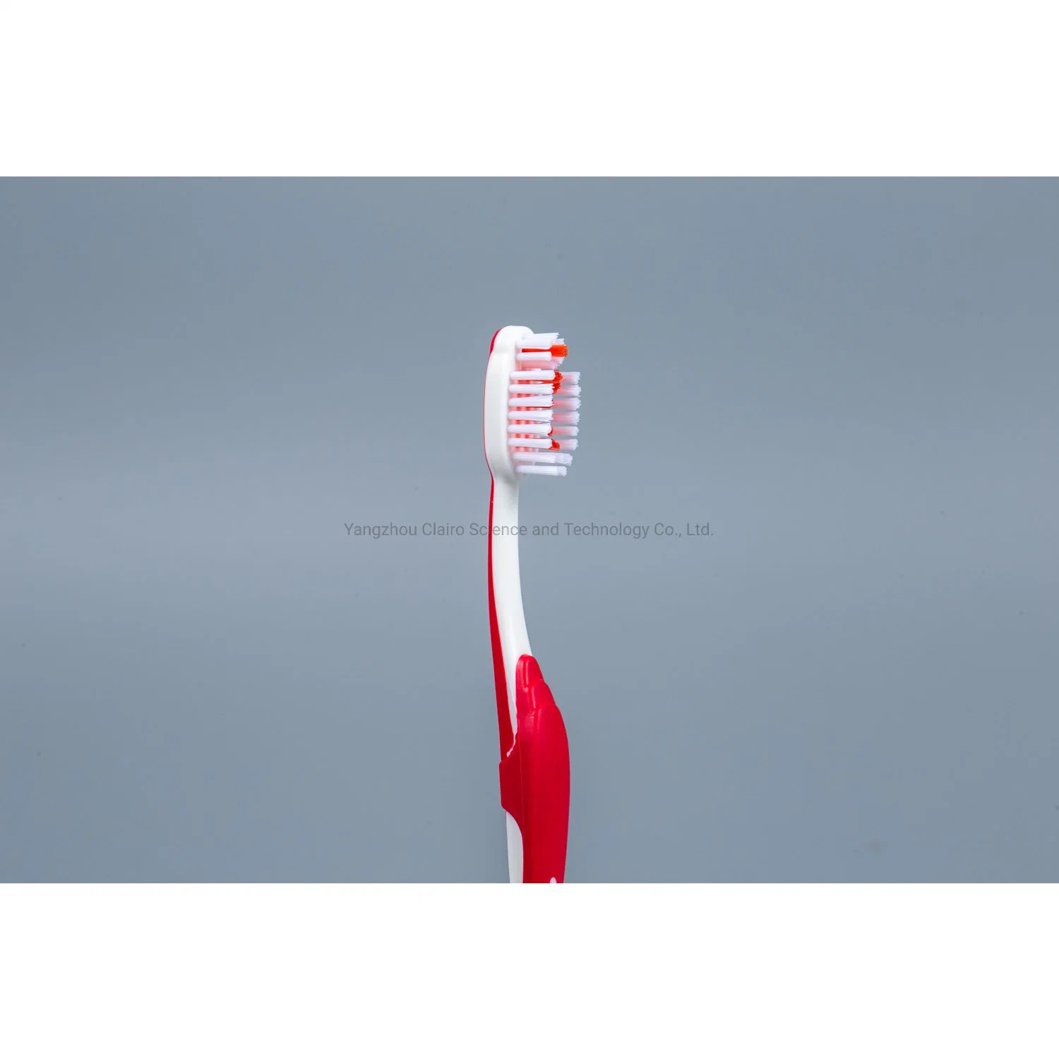 Custom on Time Delivery FDA ISO Approved Cleant Oral Care Toothbrush