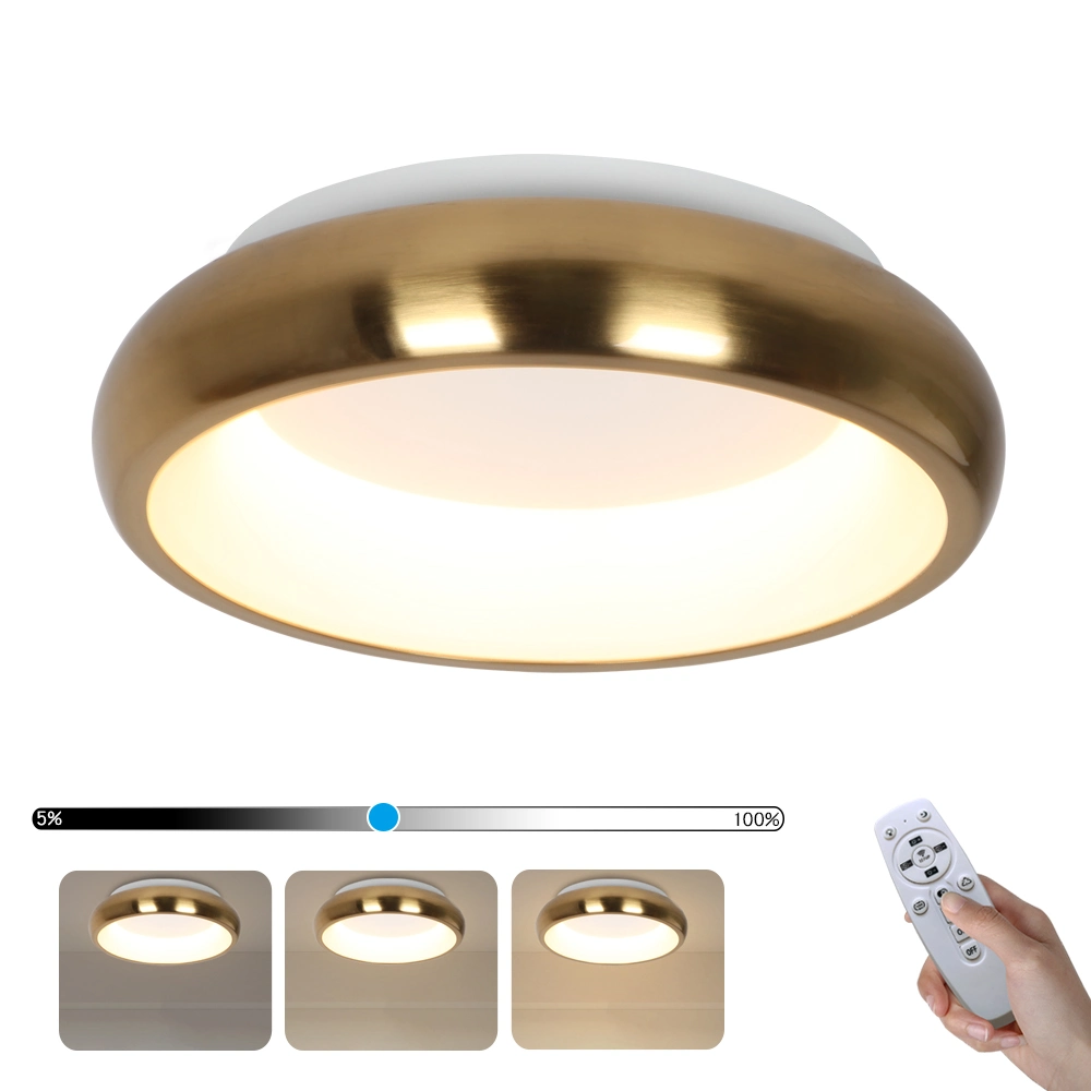 Interior de la fábrica Masivel Home LED decorativa Lámpara de techo redondo moderna lámpara de techo