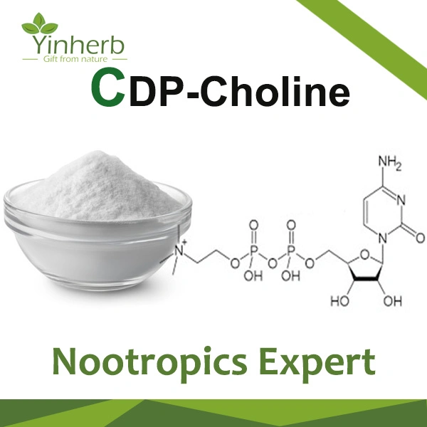 Yinherb Nootropics Citicoline Cdp-Choline основную часть сырья порошок 99 % на складе