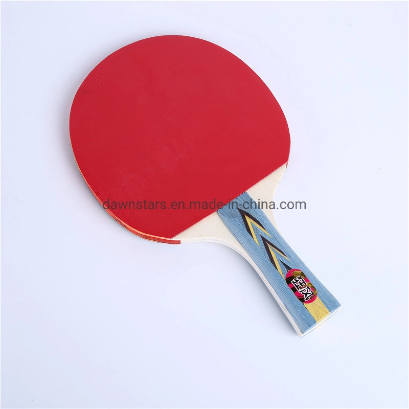 Ping Pong Racket, Table Tennis Racket + Ball + Net in Cover