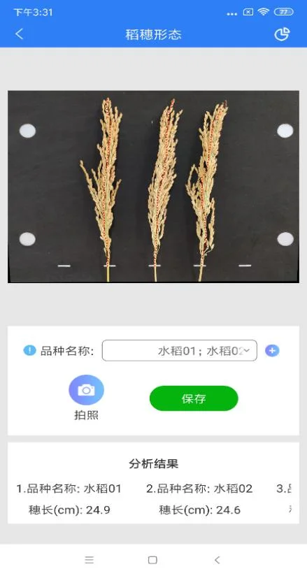 Technologie de traitement d'image avancée instrument de test d'oreille de riz