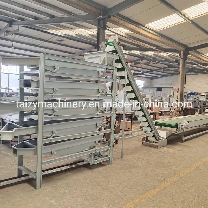 Walnut Crushing Machine Almonds Shelling Machine Cashew Macadamia Nut Processing Machine