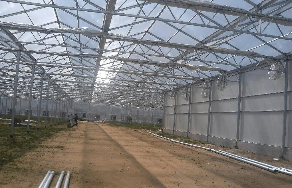 Large Automatic Intelligent Agricultural Serre Glass Green House with Soilless Culture Hydroponic Drip Irrigation System