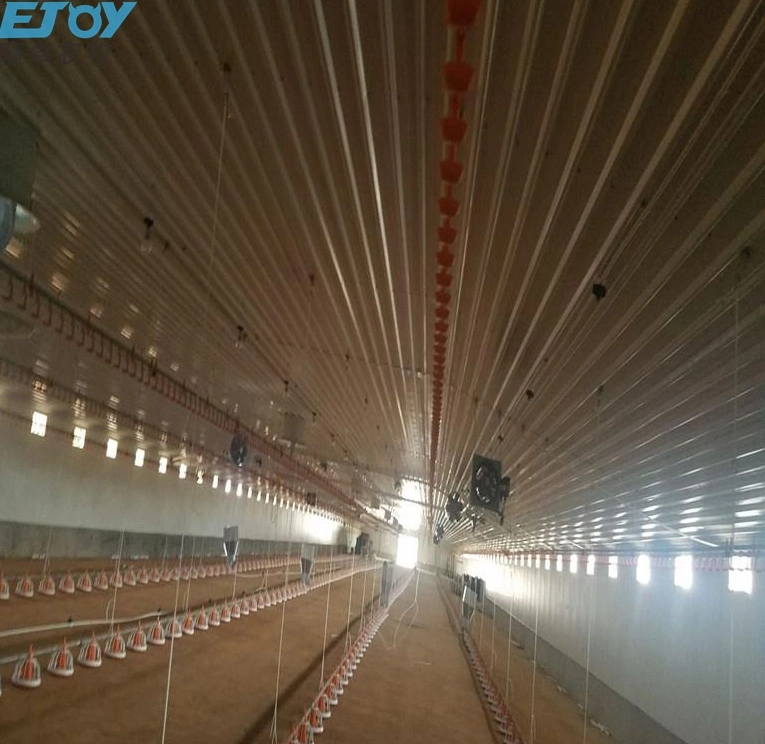 Moderne Poultry Farm House Constrcution tunnel ventilé Chicken House Design Pour couche d'œuf et gril