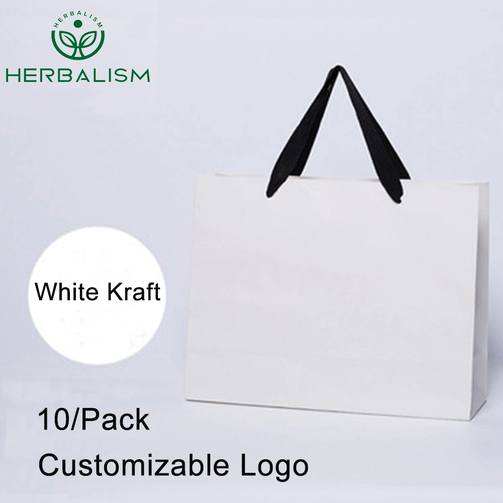 Hot Sales Custom Printed Logo Packaging Shopping Kraft Paper Bag with Ribbon Handles