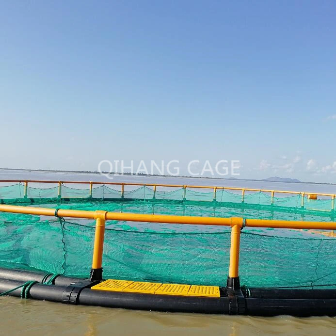 Fish Cage Fish Farming Equipment for Tilapia Breeding