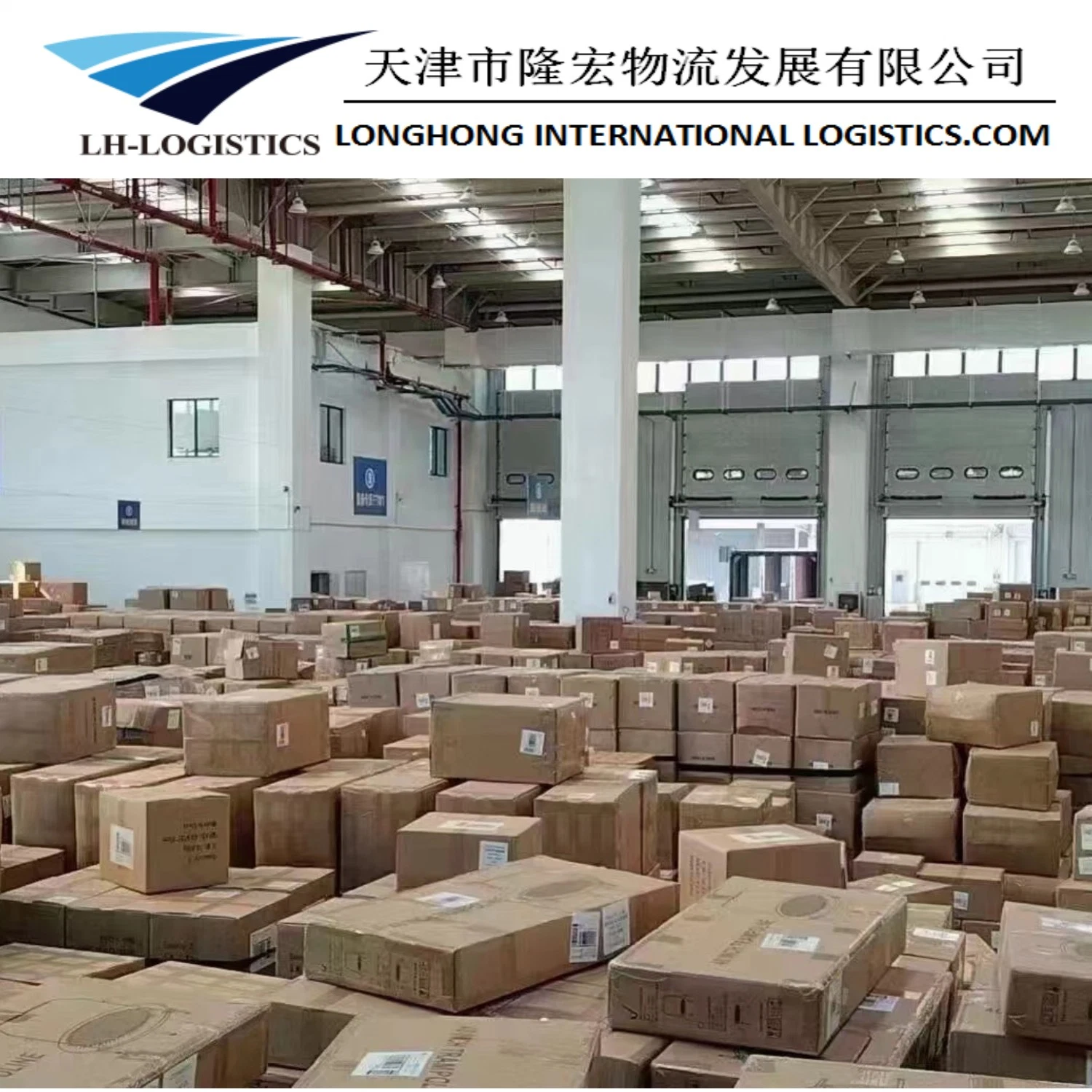 Shipping Service Shipping From China to Tashkent and Botswana