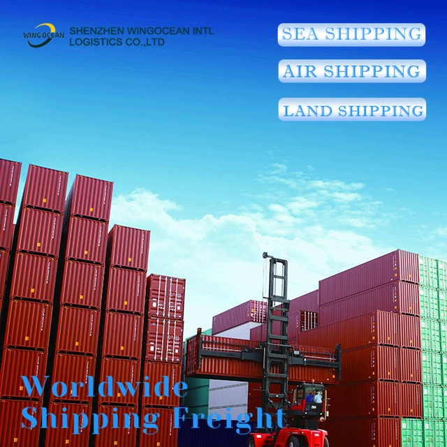 Door to Door Cargo Service FCL LCL Sea Freight Shipping From China to USA Canada UK France