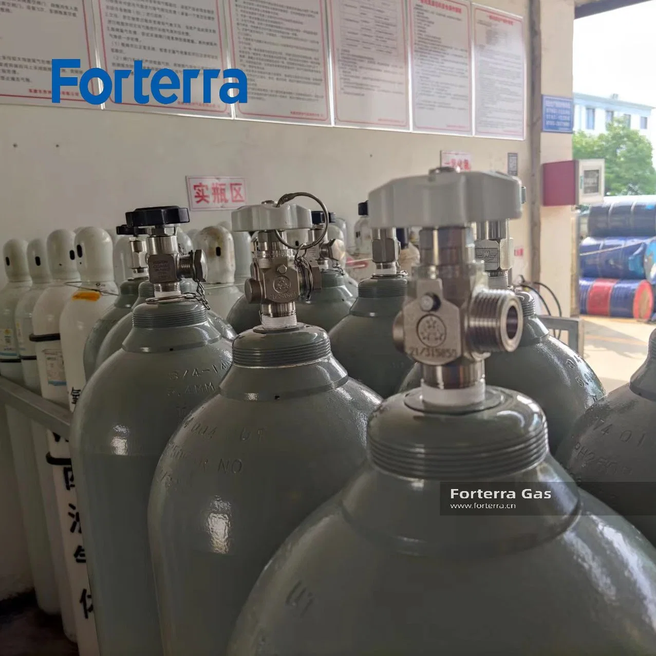 High quality/High cost performance  No Gas Cylinder 99.9% 3n Purity 10L 47L 50L Refilling Nitric Oxide No Gas with Valve
