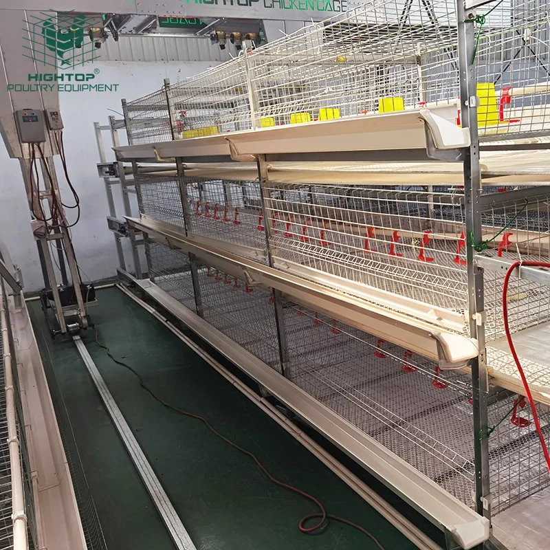 Broiler Farming Automatic Birds H Type Battery Chicken Cage System