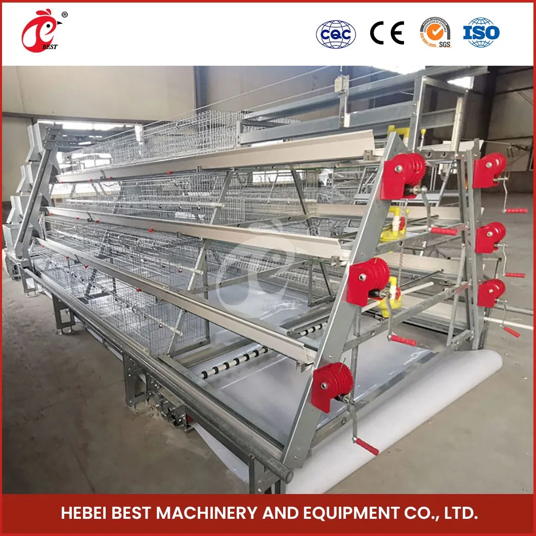 Bestchickencage China Chicken Cage Manure Cleaning Factory a Frame Automatic Broiler Cages Custom Durable and Easily Clean Commercial Farmining Chicken Cages