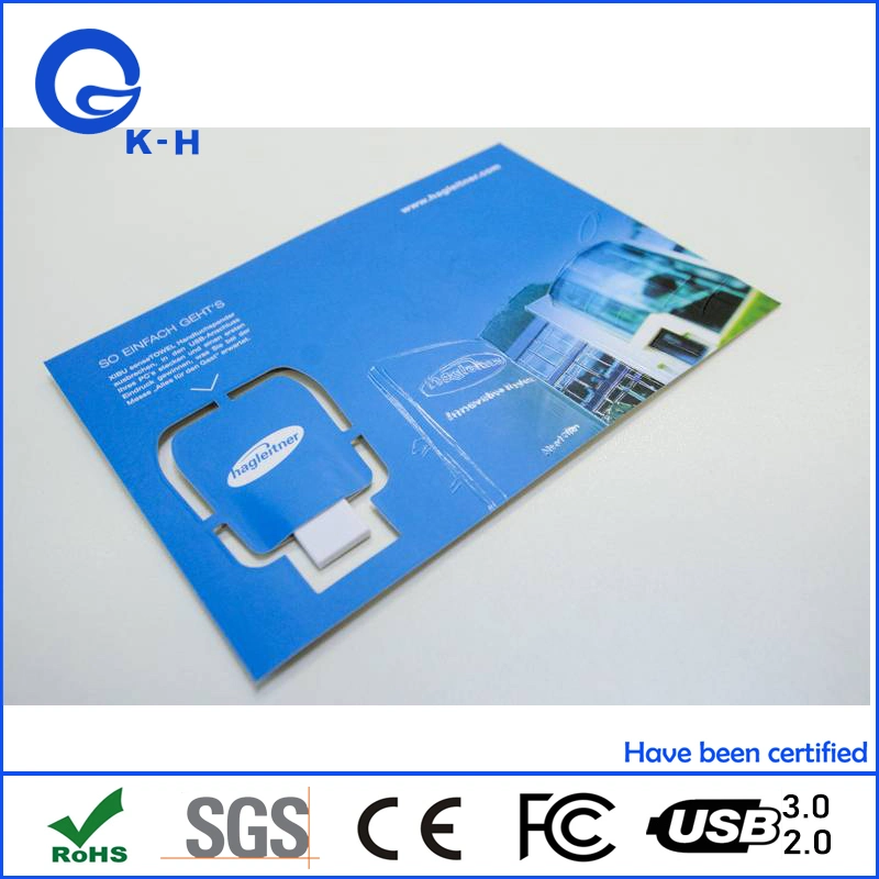 Hot Product Push out USB Key for Business Promotion Customized Urls Webkey