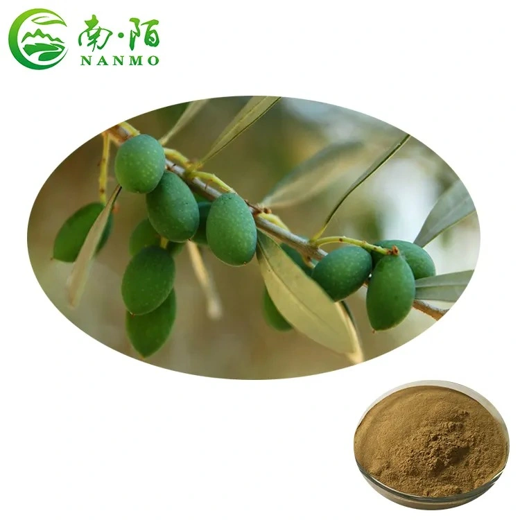 Top Sale Guaranteed Quality New Olive Leaf Extract Power 5% ~98% Oleuropein