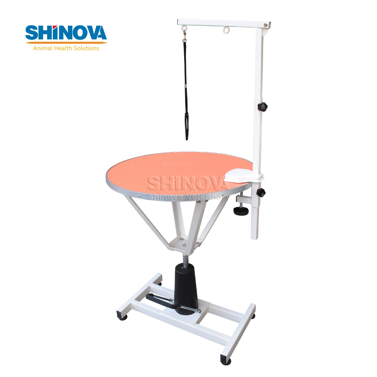 Pet Grooming Hospital Care Salon Dog Grooming Table Equipment for Pets