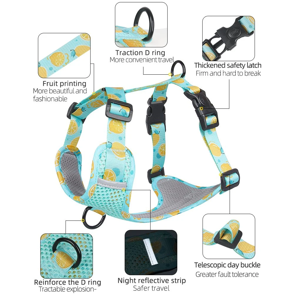 Pet Supplies 2023 Neue Ankunft Mesh Dog Harness Hals Verstellbar Lieferung Von Hundekabelbaum Ab Werk