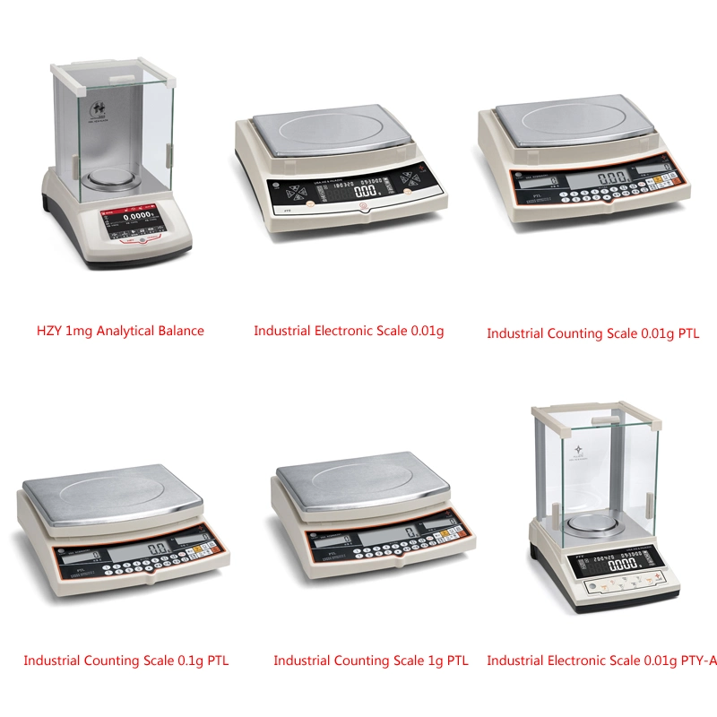 Pty-C Auto Dual Range Industrial Type Standard Precision Scale