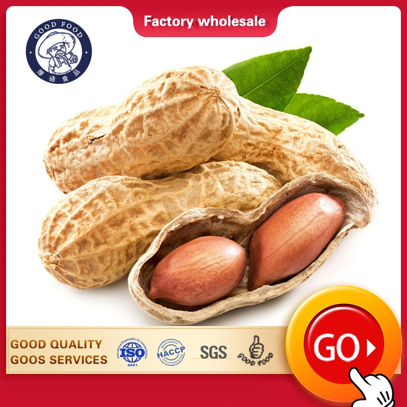 Ex-Factory Price Import Prices of Raw Peanut in Shell in China