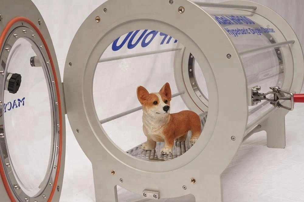 Pet Medical Device Hyperbaric Chamber