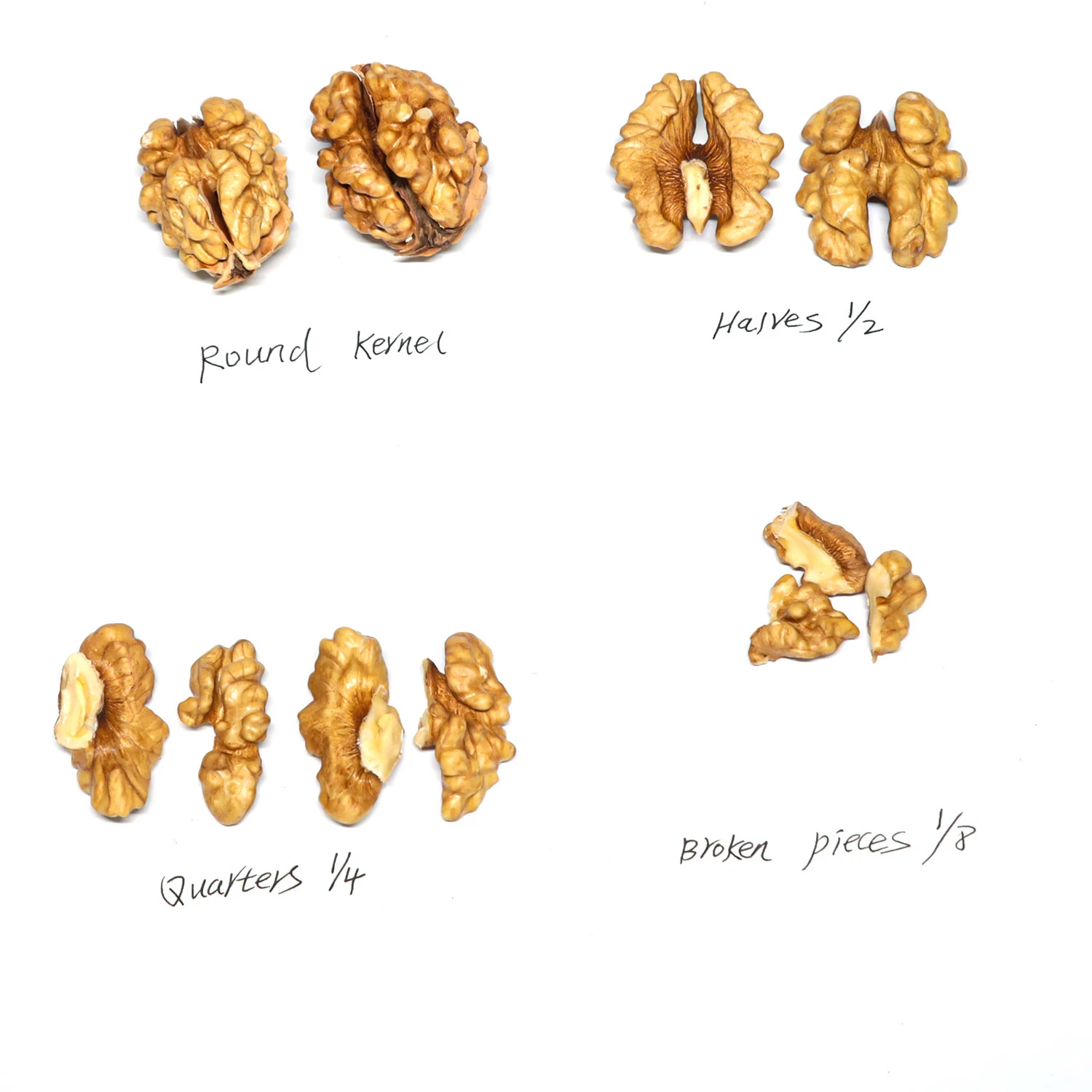 Dried Fruit Walnuts Nuts Kernels Laq Lq Lh Elh