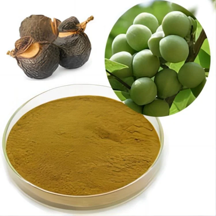 Soapnut Soapberry Extract, Sapindus Mukorossi Extract, Ritha for Pure Natural Detergent, Hand Sanitizer, Launtry Soap, Shampoo