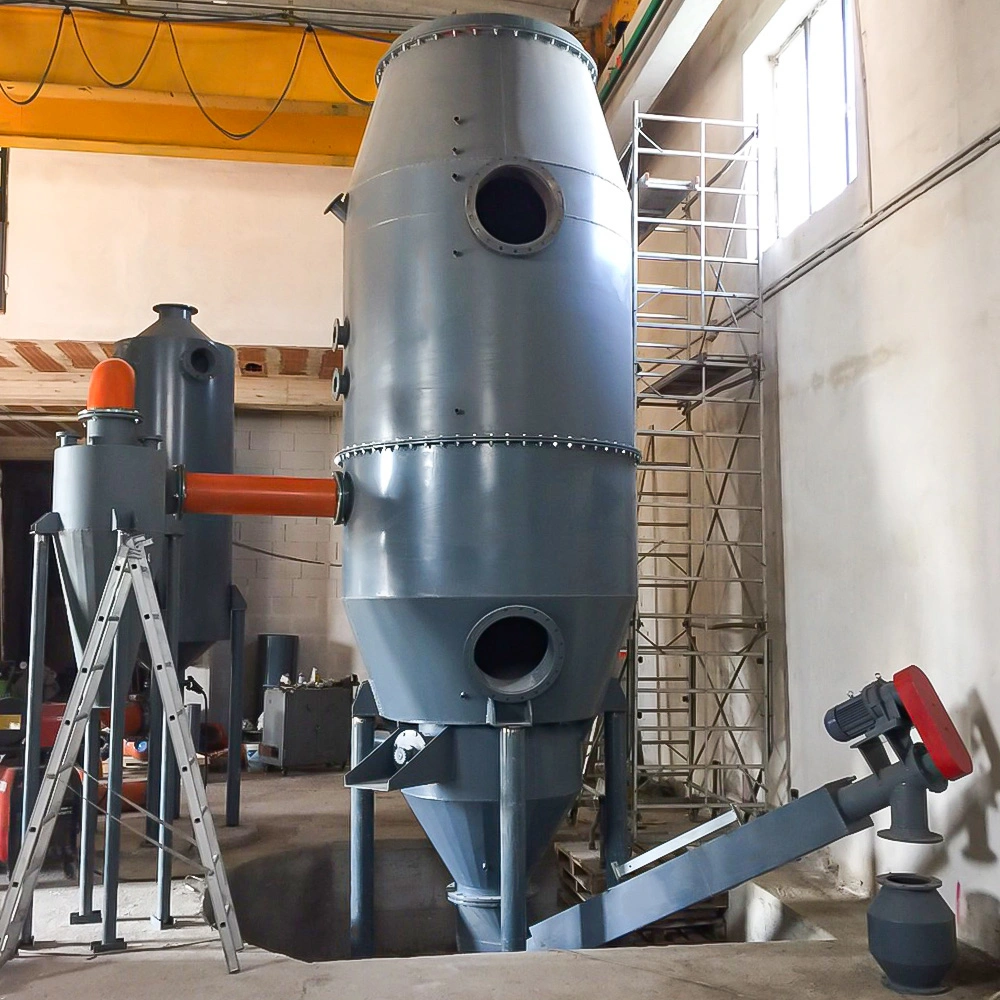 Peanut Shell Biomass Gasification Power Generation Equipment