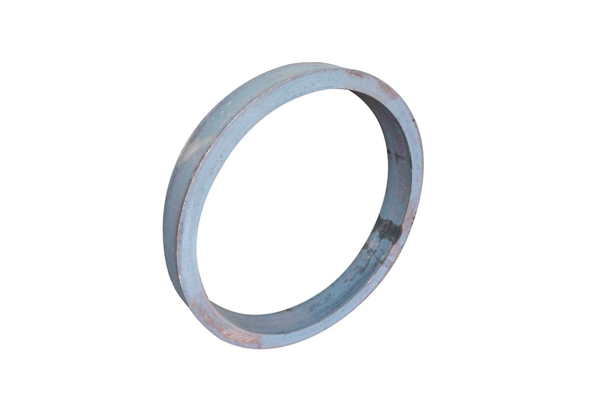 Stainless Steel Ring, Flange, Ring Forging Blank and Shipbuilding Industries