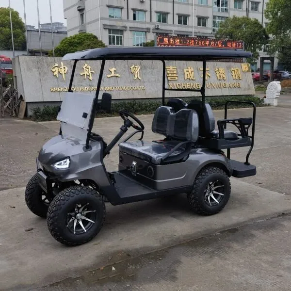 Chinese Factory Price 4 6 Seats Gas Vintage Car Classic Car Golf Cart Club Car for Sale