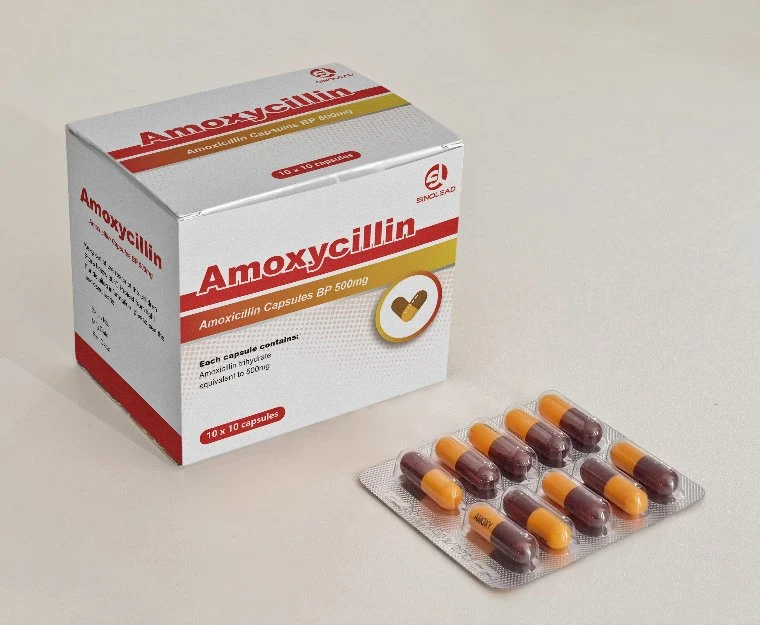 Amoxicillin Capsules GMP Inspected Factory-250mg/500mg