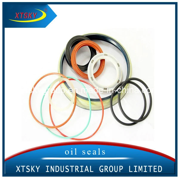 Xtsky NBR /PTFE /Acm /Viton Oil Seals